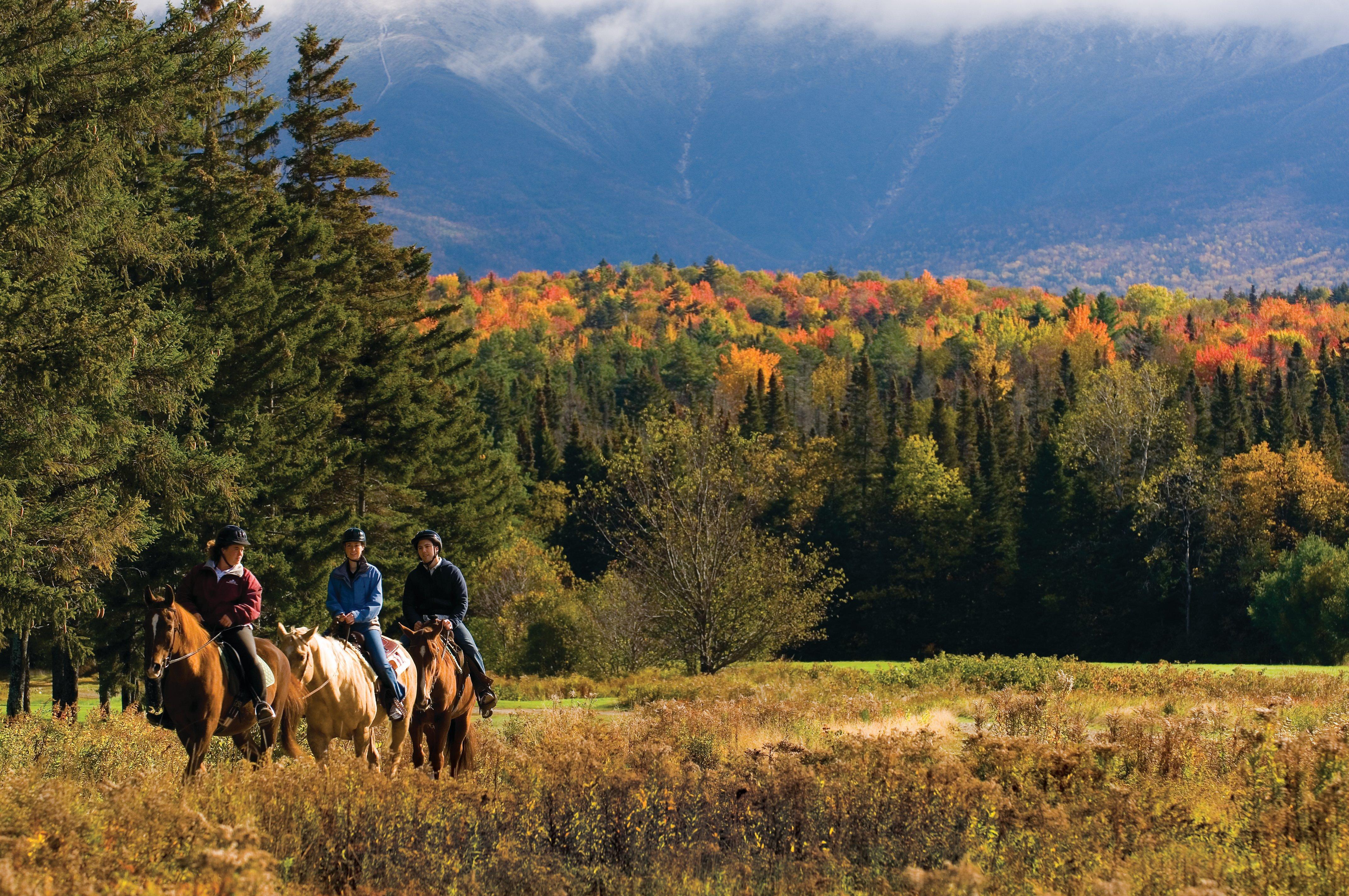 Omni Mount Washington Resort & Spa Bretton Woods Exterior foto
